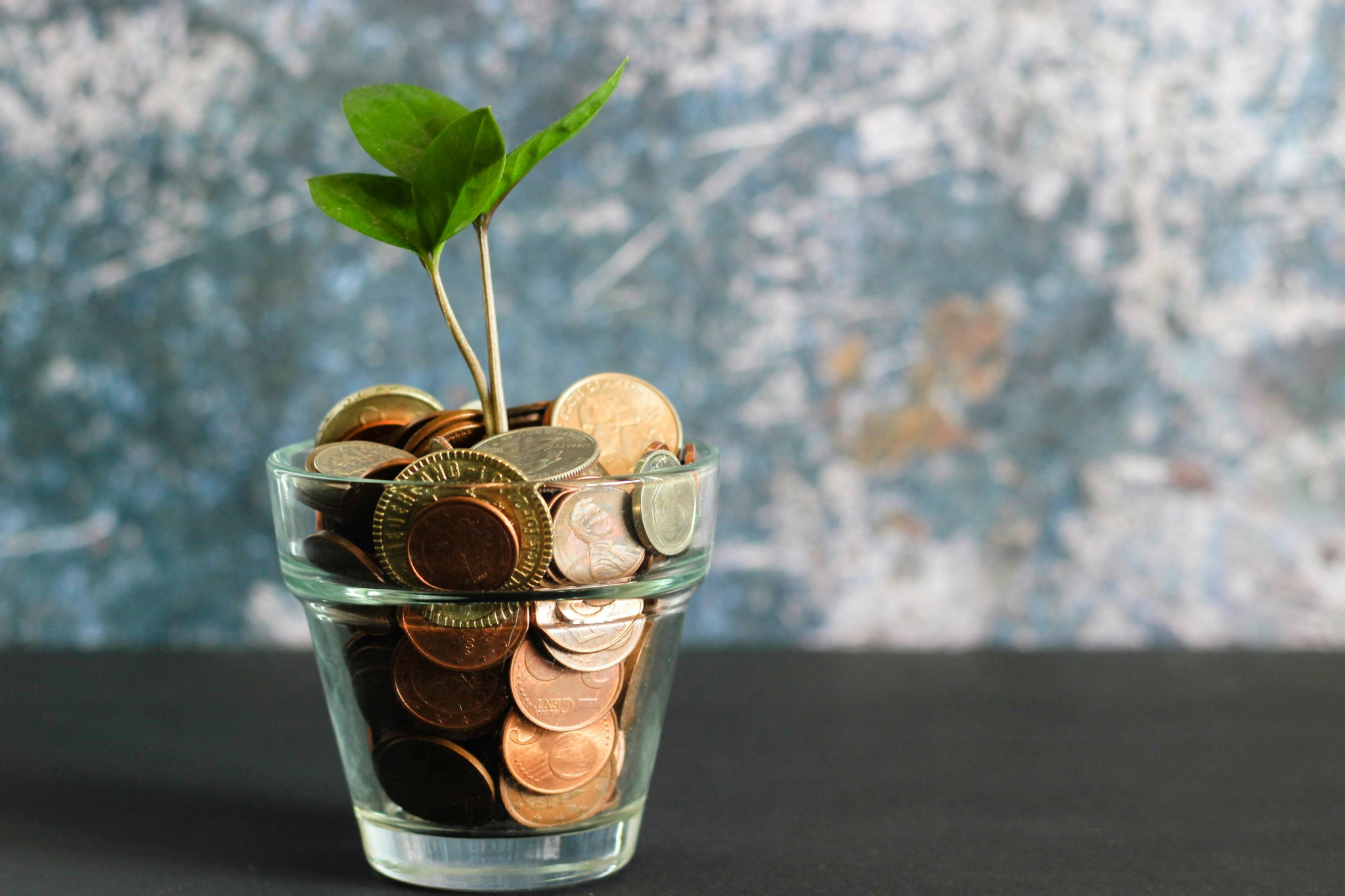 Plant growing from coins
